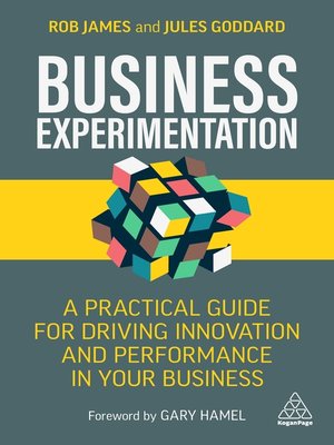 cover image of Business Experimentation
